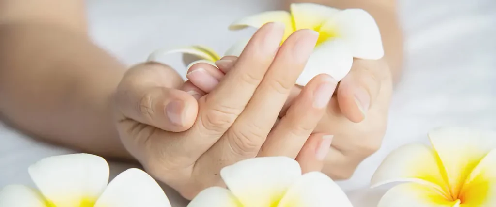 fleur de frangipanier